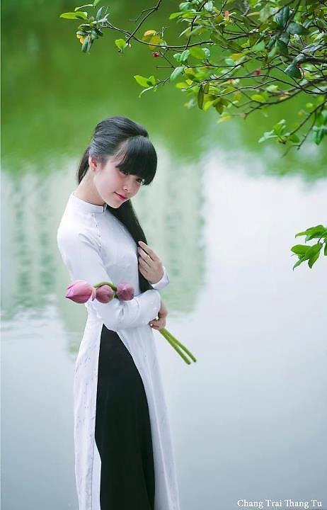 狸猫换太子电视剧